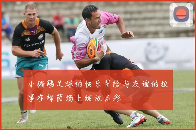 小猪踢足球的快乐冒险与友谊的故事在绿茵场上绽放光彩