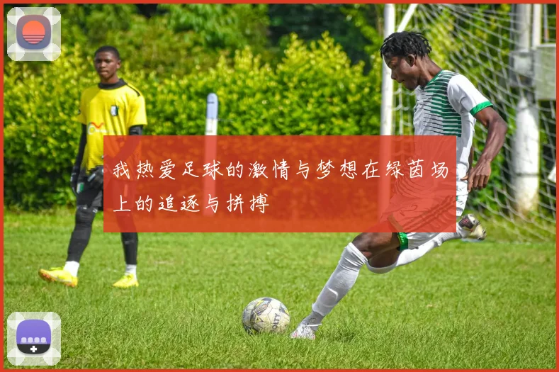 我热爱足球的激情与梦想在绿茵场上的追逐与拼搏
